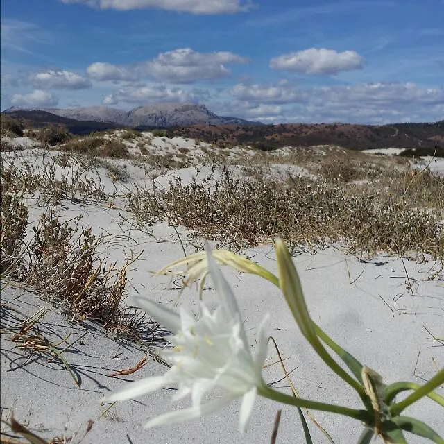 Villa Le Ginestre La Caletta Italie