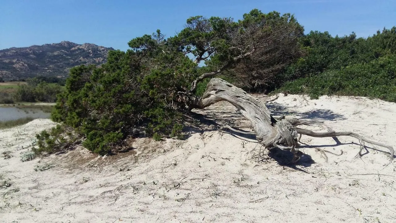 Villa Le Ginestre La Caletta
